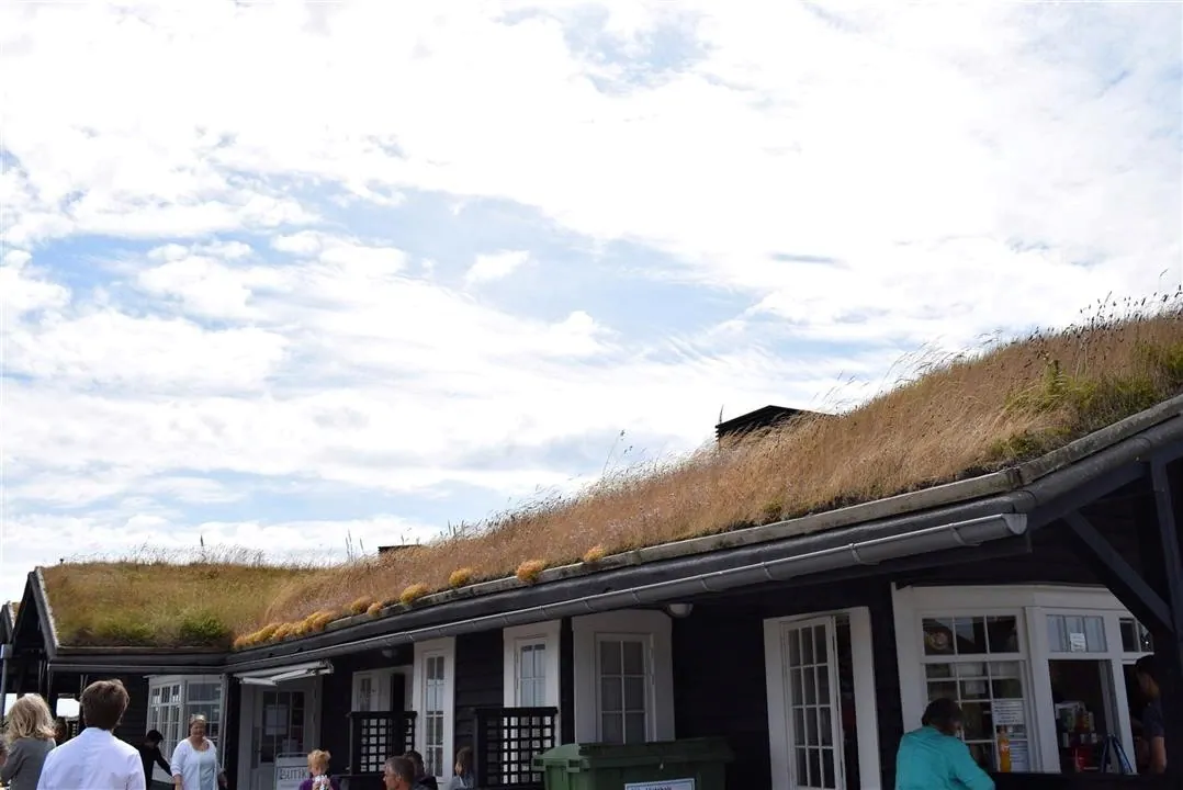 G22.2 grenen and the sandormen sat 22 jul (1)